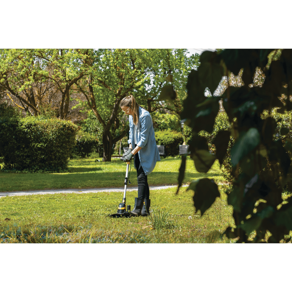 Desbrozadora Est550 Plus