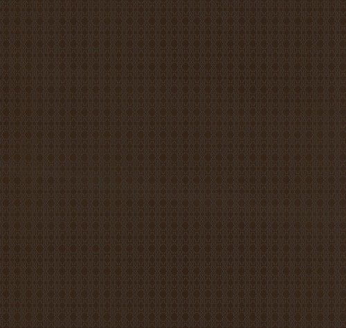 Papel pintado Roberto Cavalli Cod. RC17115