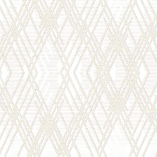 Carta da parati AdaWall collezione Octagon cod 1213 - rotolo 10mq - Grigio 1