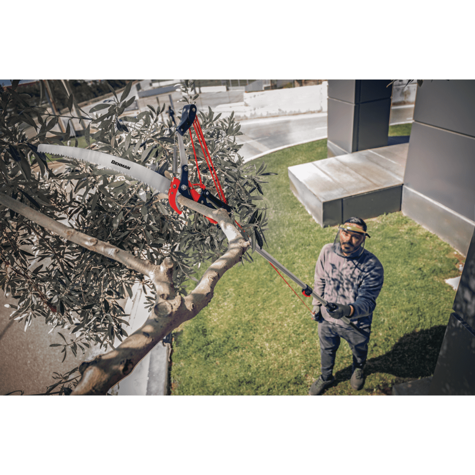 Podadora telescópica extensible