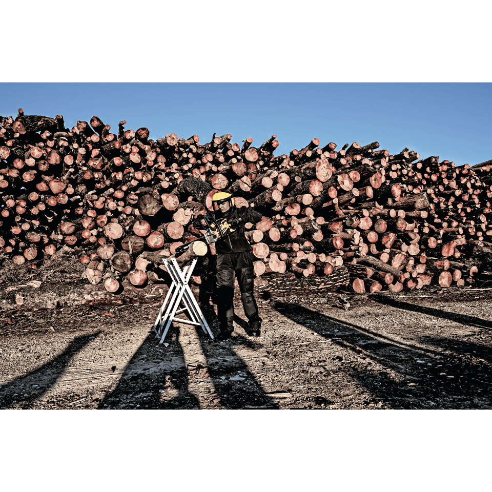 Motosega GCS 450D Pro 50CC