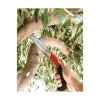 Segaccio MX1 con custodia in plastica Benman - 25cm