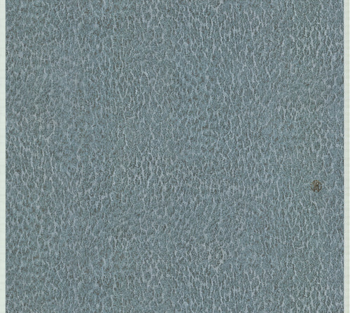 PAPEL PINTADO DE ROBERTO CAVALLI Cód. RC17087