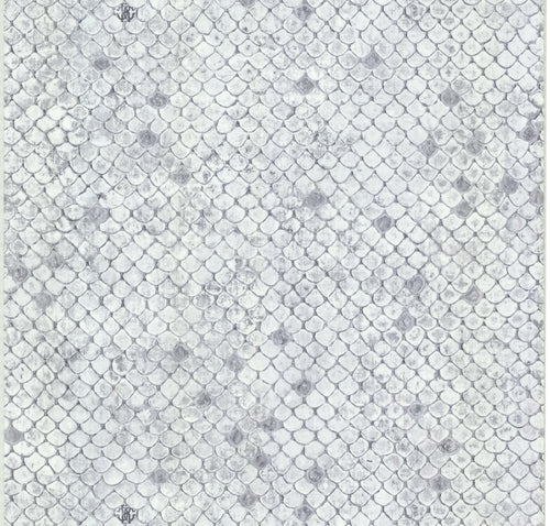 PAPEL PINTADO DE ROBERTO CAVALLI Cód. RC17103