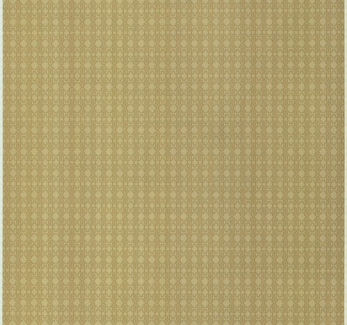 Papel pintado Roberto Cavalli Cod. RC17116