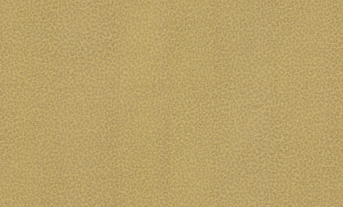 Colección de papel pintado Roberto Cavalli N.º 8 - RC19017 - Rollo de 10 m²