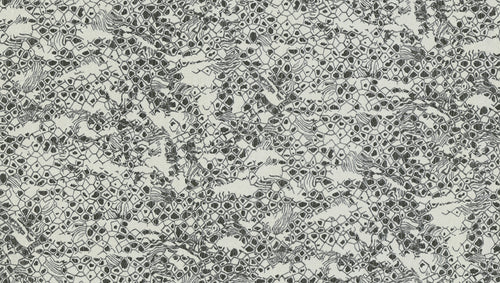 Carta da parati Roberto Cavalli collezione N.8 - RC19035 - rotolo 10 mq