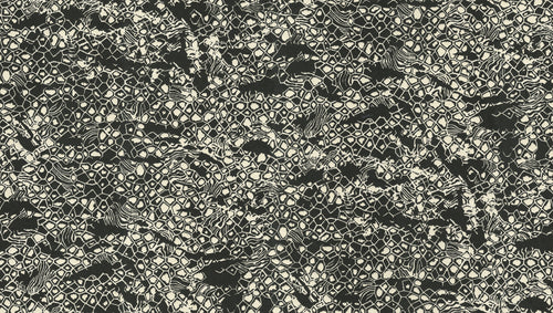 Carta da parati Roberto Cavalli collezione N.8 - RC19036 - rotolo 10 mq