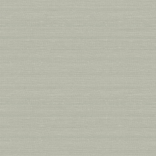 Carta da parati Armani Home collezione Refined Structure n.1 cod. 9255 rotolo 7mq