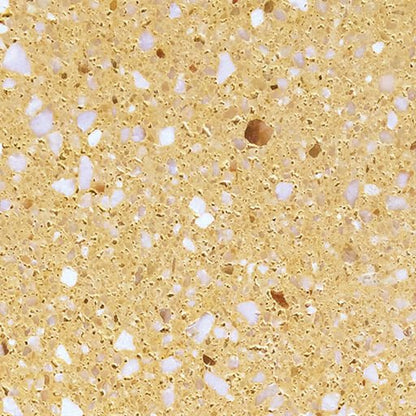 Tapa de pared Unico Elite de 1 metro